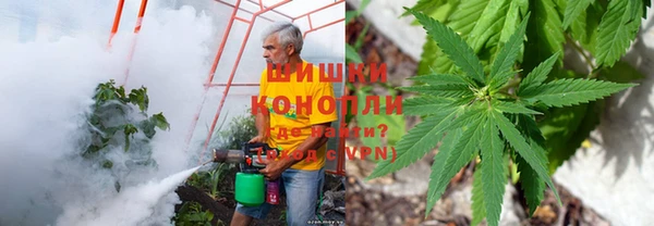 прущие крисы Аркадак