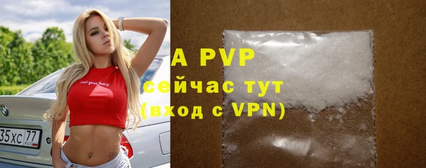 прущие крисы Аркадак