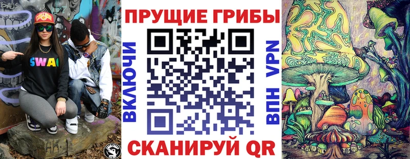 Псилоцибиновые грибы Psilocybe  Сорск 